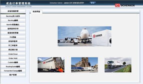 上海網(wǎng)站建設(shè)與設(shè)計(jì) 天照科技的專業(yè)服務(wù)方案